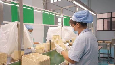 Nowet(zhejiang) Biotechnology Co.,Ltd