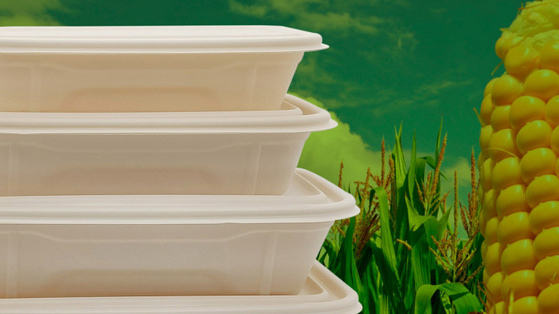 quality Soup bowl factory