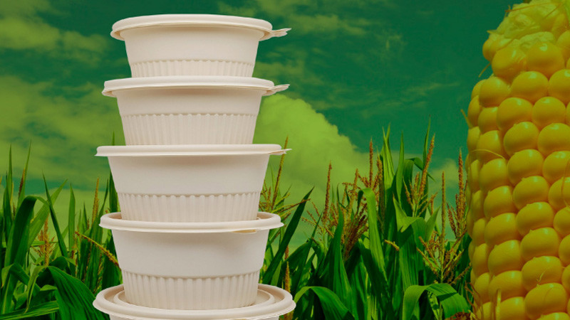 quality Soup bowl factory